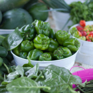 LaVida Curacao kookworskhop toeristen Thelma & Louise Helmi Smeulders